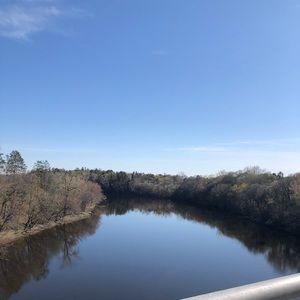 Meet your Posher, Rose